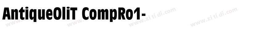 AntiqueOliT CompRo1字体转换